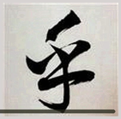 张尧